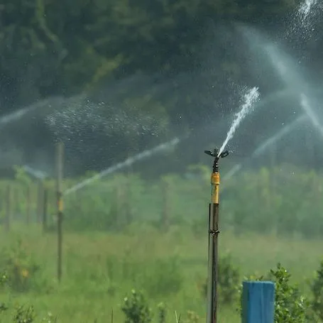 thumbnail for publication: Attitudes and Perceptions of Agricultural Water Use in Florida Expressed by the General Public and Local Officials